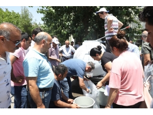 Diyarbakır’daki Göletlere 121 Bin Sazan Balığı Yavrusu Bırakıldı