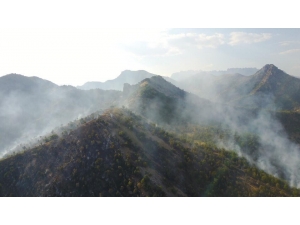 Beytüşşebap’ta Yangın