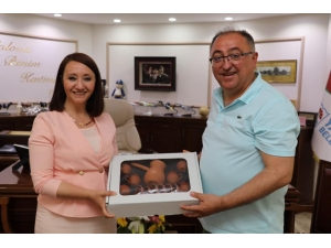 Başkan Tekin, Yalova Belediyesini Ziyaret Etti