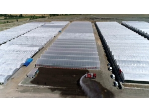 Ahıskalılar Seradan İlk Mahsulü Aldı