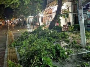 Yunanistan’da Fırtına: 6 Turist Öldü, 30 Yaralı
