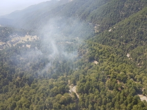 Manavgat’ta Orman Yangını