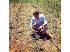 Nurhak, Lavanta Kokulu İlçe Olmaya Aday