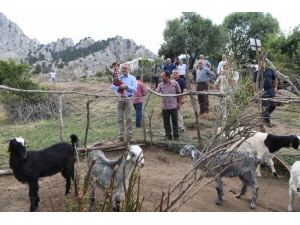 Başkan Esen’den Hayvancılığa Destek Sözü
