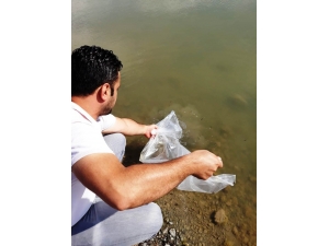 Samsun’da Göl Ve Göletlere 120 Bin Adet Yavru Balık Bırakıldı