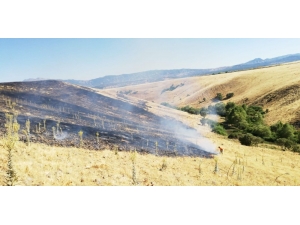 Bingöl’deki Yangınlar Söndürüldü