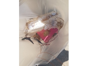 Şemdinli’de Telsiz Düzenekli Eyp Ele Geçirildi