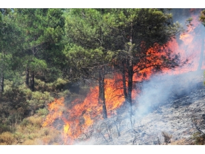 Fethiye’deki Orman Yangını Kontrol Altına Alındı