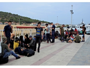 Çeşme’de Bir Günde 210 Göçmen Ve 5 Organizatör Yakalandı