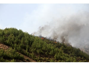 Dalaman’daki Yangın Yeniden Aktif Hale Geldi