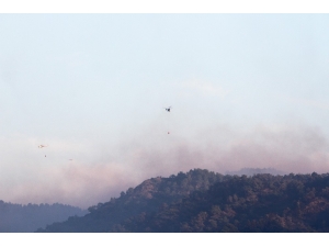 Bakan Pakdemirli Göcek’de 39 Saattir Müdahale Edilen Yangını Denetledi