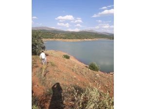 Konya’daki Su Kaynaklarına 206 Bin Yavru Sazan Balığı Desteği