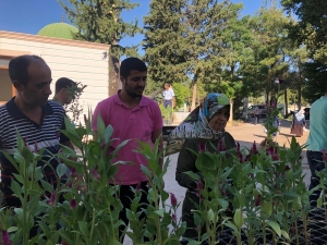 Mezar Ziyaretine Fidan Hediyesi