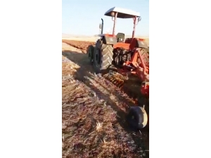 Şoförsüz Traktör İle Tarlayı Sürdü