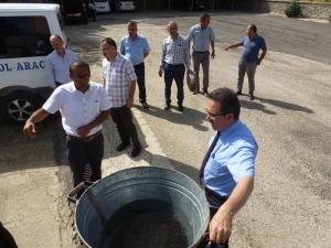 7 Yılda 601 Bin Adet Sazan Balığı Yavrusu Göletlere Bırakıldı