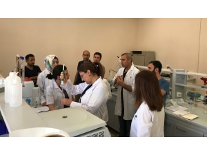 Artuklu Üniversitesi Merkezi Araştırma Laboratuvarı’nda Uygulamalı Eğitim