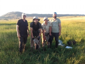 Sivas’ta, Nesli Tükenme Tehlikesinde Olan Turna Yavrularına Halkalama Çalışması Yapılarak Takip Cihazı Takıldı