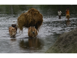 Hindistan’da Sel Felaketi: 3 Ölü, Onlarca Kayıp