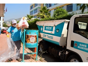 Alanya’da Bayat Ekmekler Sokak Hayvanlarına Yem Oluyor