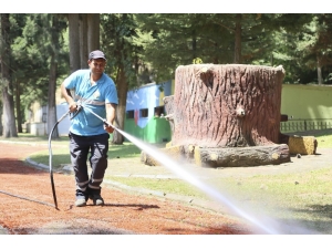 Pınarbaşı Mesire Alanı Yenileniyor