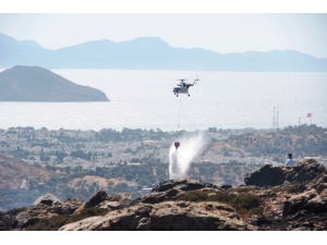Bodrum’da Korkutan Yangın