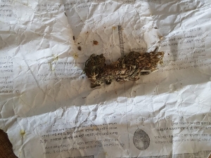 Okul Bahçesindeki Şahsın Üzerinden Uyuşturucu Çıktı