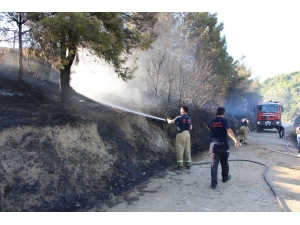 Orman Yangın Havuzunda Yangın Paniği
