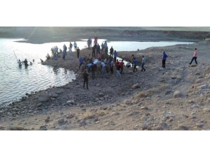 Nusaybin’de Gölete Giren Amca Çocukları Boğuldu