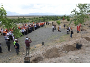 Erzincan’da 251 Şehit Anısına 251 Adet Fidan Toprakla Buluştu