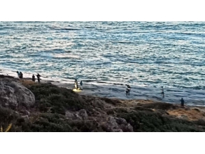 Kktc’de Aile Dramı