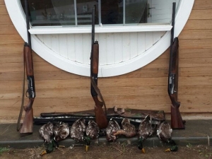 134 Kişiye 143 Bin Lira Ceza, 700 Yaban Hayvanına Tedavi