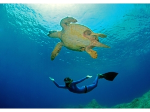 Dünya Dalış Dekortmeni Ercümen’den Doğru Nefes Teknikleri