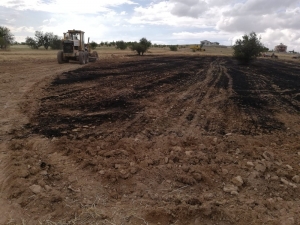 Hasat Sırasında Çıkan Yangın Kontrol Altına Alındı