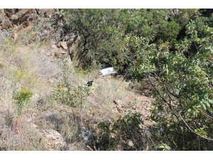 25 Metrelik Uçuruma Yuvarlanan Araçtaki 4 Kişi Yaralı Kurtarıldı