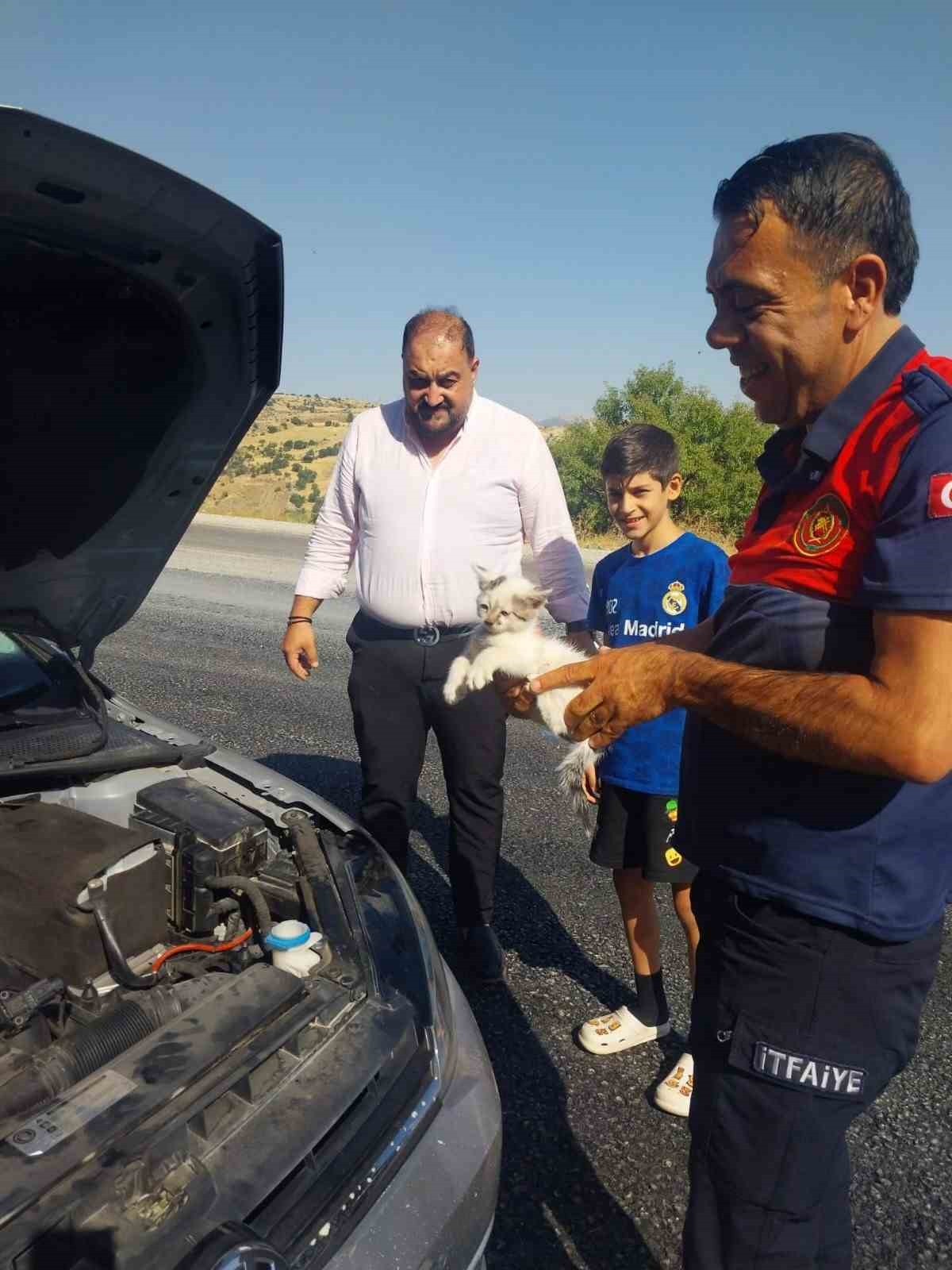 otomobilin-motoruna-sikisan-kedi-kurtarildi