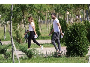 Denizli’de Kpss Heyecanı