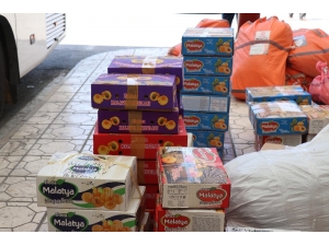 Maşti’de Kayısı Yoğunluğu