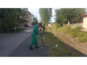 Gelen Şikayet Başkan Hürriyet’i Harekete Geçirdi