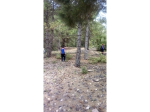 Haber Alınamayan Kadın Çoban İçin Arama Çalışması Başlatıldı