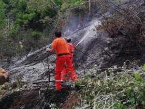 Bingöl’de 2 Ayrı Yangın Söndürüldü
