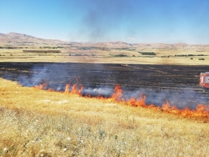 Elazığ’da 150 Dönümlük Alan Kül Oldu