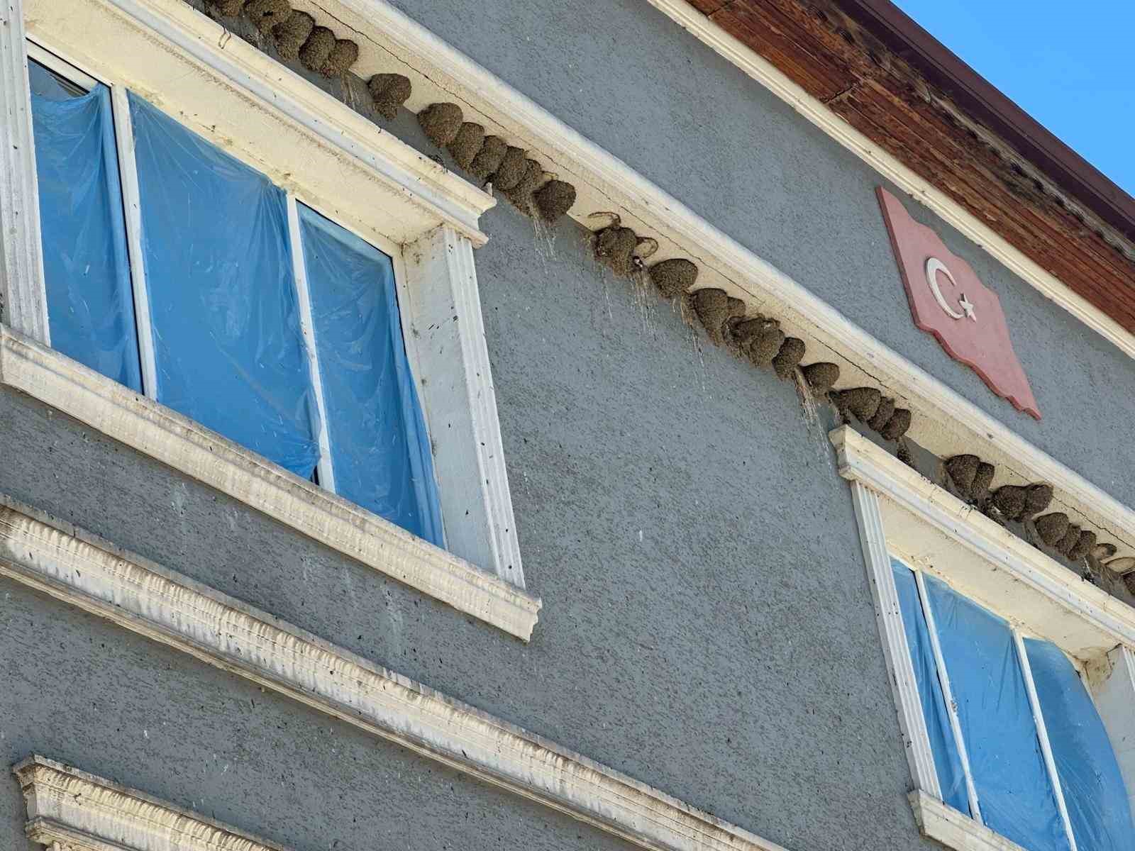 kirlangic-yuvalarini-bozmayip-pencereleri-naylonla-kapladilar