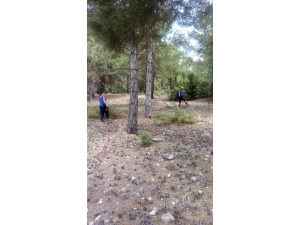 Haber Alınamayan Kadın Çoban, Evine Geri Dönerken Bulundu