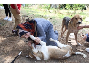 Her Gün Aç Geziyordu Nedeni İse Şaşırttı