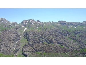 Pkk’lıların Tuzakladığı El Yapımı Patlayıcı İnfilak Etti: 1 İşçi Öldü, 2 İşçi Yaralandı