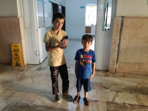 Çocuklar, Kedinin Saldırısına Uğrayan Güvercini Acil Servise Götürdü