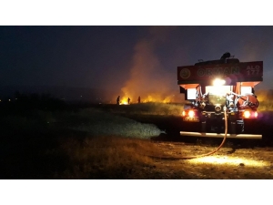 Yangın, Ormana Sıçramadan Söndürüldü