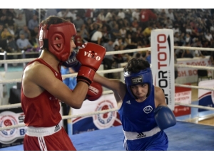 Üst Minikler Türkiye Ferdi Boks Şampiyonası Gümüşhane’de Başladı