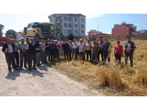 Aslanapa Ovası’nda Hasat Dönemi Dualarla Başladı