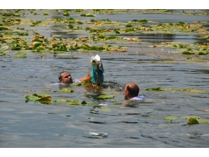 Gölbaşı Gölü’ne Hayat Verdiler